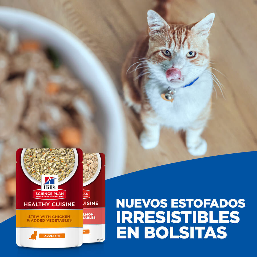80 g Hill's Science Plan Adult Healthy Cuisine Estofado de Pollo y Verduras sobre para gatos, , large Imagen numero 5